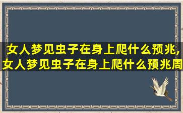 女人梦见虫子在身上爬什么预兆,女人梦见虫子在身上爬什么预兆周公解 🌼 梦
